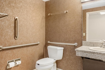 Standard Room, 2 Double Beds, Accessible, Refrigerator & Microwave