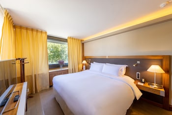 Classic Room, 1 Double Bed