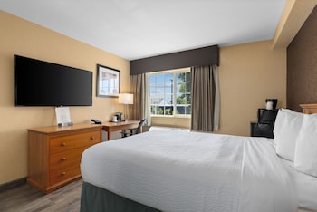 Room, 1 Queen Bed, Non Smoking