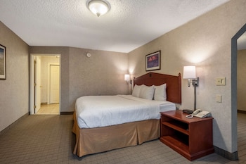 Suite, 1 King Bed, Non Smoking, Jetted Tub (Living Room)