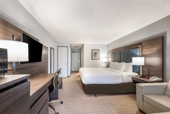 Standard Room, 1 King Bed, Non Smoking, Refrigerator & Microwave (with Sofabed)