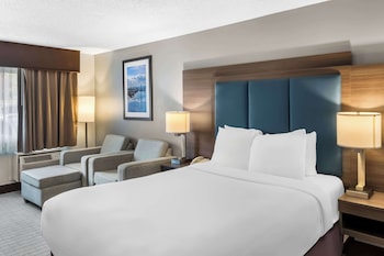 Standard Room, 1 King Bed, Non Smoking, Refrigerator & Microwave (with Sofabed)