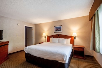 Suite, 1 King Bed, Non Smoking, Jetted Tub (Living Room)
