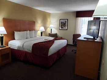 Business Single Room, 1 King Bed