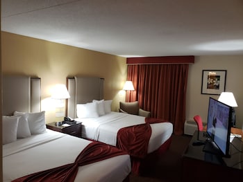 Business Single Room, 2 Queen Beds