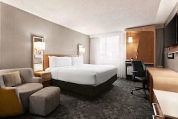 Room, 1 King Bed, Accessible