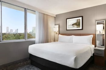 Room, 1 King Bed (City View, Casino View)