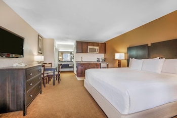 Efficiency, Room, 1 King Bed, Non Smoking