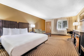 Room, 1 King Bed, Accessible, Non Smoking (Mobility, Bathtub w/Grab Bars)