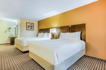 Standard Room (1 King and 1 Queen)