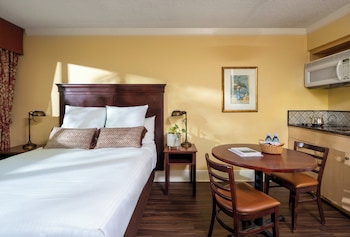 Studio Suite, 1 Bedroom