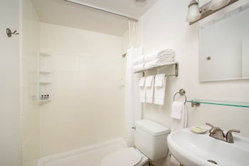 Single Room, 1 Queen Bed