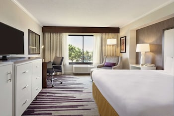 Room, 1 King Bed, Accessible, Non Smoking