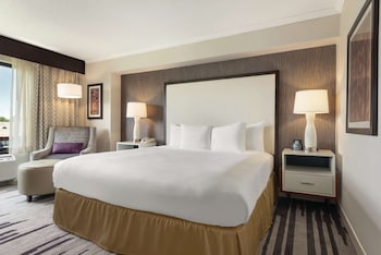 Room, 1 King Bed, Accessible, Non Smoking