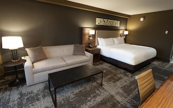 Room, 1 King Bed with Sofa bed