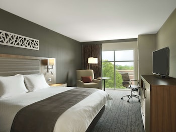 Room, 1 King Bed (Hearing Accessible)