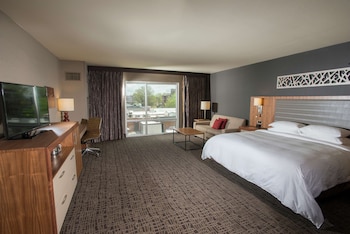 Room, 1 King Bed, Accessible