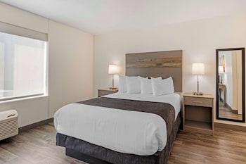 Standard Room, 1 Queen Bed, Accessible, Refrigerator & Microwave