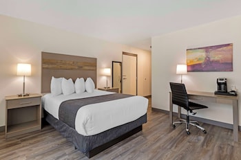 Standard Room, 1 Queen Bed, Accessible, Refrigerator & Microwave