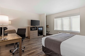 Standard Room, 1 Queen Bed, Accessible, Refrigerator & Microwave