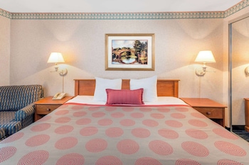 Room, 1 King Bed, Non Smoking