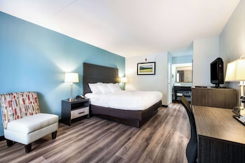 Room, 1 King Bed, Non Smoking