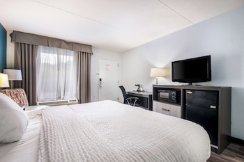 Room, 1 King Bed, Accessible, Non Smoking