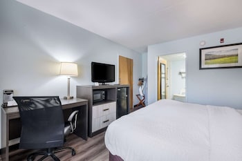 Room, 1 King Bed, Accessible, Non Smoking