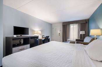 Standard Room, 1 King Bed with Sofa bed, Non Smoking