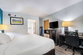 Room, 1 King Bed, Accessible, Non Smoking
