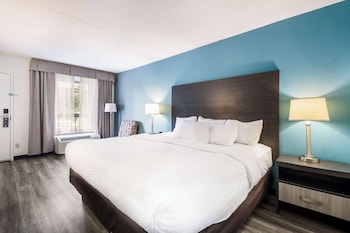 Standard Room, 1 King Bed, Non Smoking