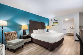 Room, 1 King Bed, Accessible, Non Smoking