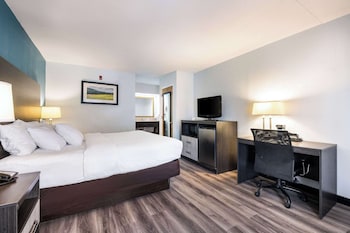 Standard Room, 1 King Bed, Non Smoking