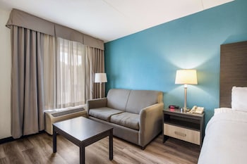 Standard Room, 1 King Bed with Sofa bed, Non Smoking