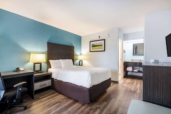 Standard Room, 1 Double Bed, Non Smoking