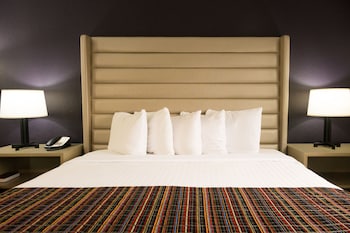 Room, 1 King Bed