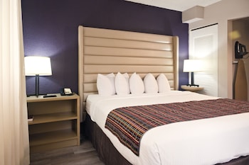 Studio Suite, 1 King Bed