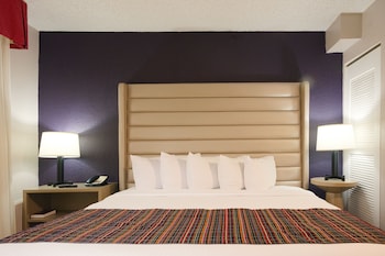 Studio Suite, 1 King Bed