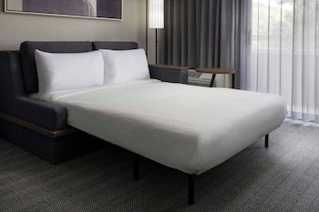 Suite, 1 King Bed with Sofa bed