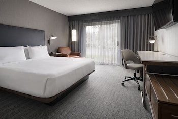 Room, 1 King Bed (Mobility/Hearing Access, Roll-in Shwr)