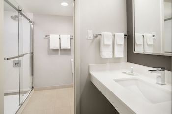 Suite, 1 King Bed with Sofa bed (Hearing Accessible)