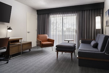 Suite, 1 King Bed with Sofa bed