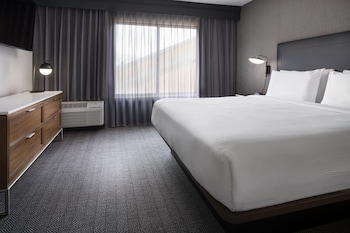 Suite, 1 King Bed with Sofa bed