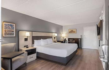 Room, 1 King Bed, Accessible, Non Smoking (Mobility/Hearing Impaired Accessible)