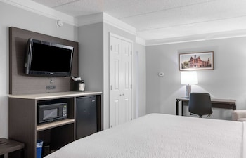 Room, 1 King Bed, Accessible, Non Smoking (Mobility/Hearing, Tub w/ Grab Bars)
