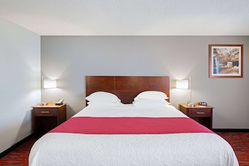 Deluxe Studio Suite, 1 King Bed, Non Smoking