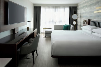 Room, 1 King Bed