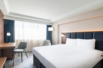 Standard Double Room, 1 King Bed
