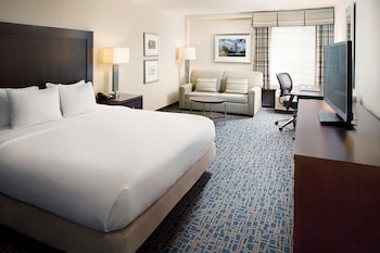 Room, 1 King Bed, Accessible, Bathtub (Mobility & Hearing)