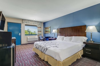 Room, 1 King Bed, Accessible, Non Smoking